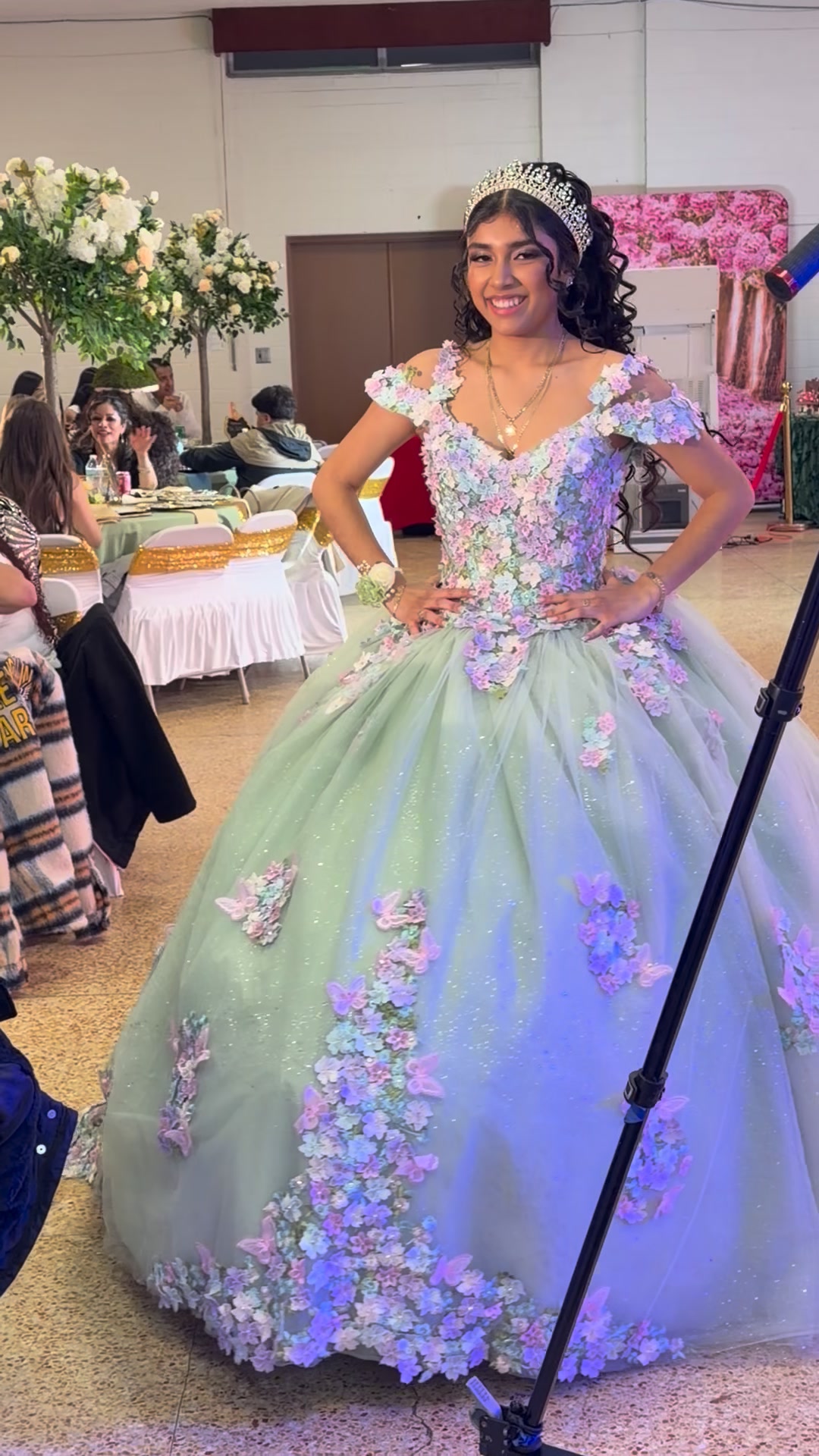 formal quinceañera gown in Wisconsin boutique